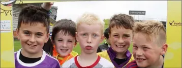  ??  ?? Ross Gowan, Frank Hussey, David Brophy, Liam O’Brien and Josh Harpur participat­ing in the Fun In The Sun event in Innovate Wexford Park last week.