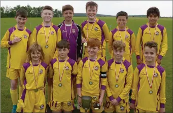  ??  ?? The Wexford Yellow Under-12 team, winners of the Tracey Lawlor Memorial Cup.