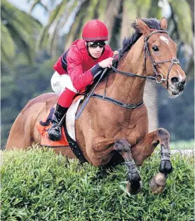  ?? PHOTO: KIRSTEN LEDINGTON/NZ RACING DESK ?? In the thicket of it . . . Perry Mason and Aaron Kuru clear a fence on their way to winning the Pakuranga Hunt Cup at Te Aroha on Saturday.
