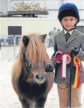  ??  ?? Top: The Shetland champion at Lanark’s Winter Fair, from John Watson; above: best Shetland young handler Jake Mcintosh; and right: the Shetland reserve champion from Eynhallow.