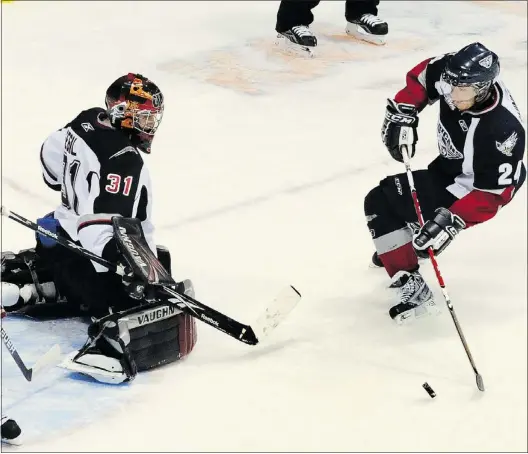  ?? — PNG FILES ?? Brendan Shinnimin of the Tri-city Americans bears down on Giants goalie Mark Segal during last year’s WHL playoffs.