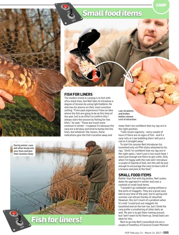  ??  ?? During winter, carp will often bump into your lines and give their location away Low-oil pellets and broken boilies release a lot of attraction