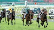  ?? RACE IMAGES SOUTH ?? Legarto, at right, leaves the 1000 Guineas field in her wake at Riccarton yesterday.