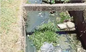  ?? WAKAF
PIC COURTESY OF ?? The smell from stagnant water in Donggongon drains in Penampang, Sabah, is affecting traders’ business.