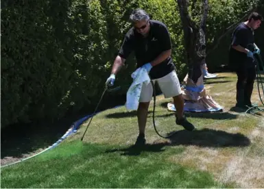  ?? JUSTIN SULLIVAN/GETTY IMAGES ?? As the California drought worsens, homeowners are letting lawns die and are having them painted to look green.