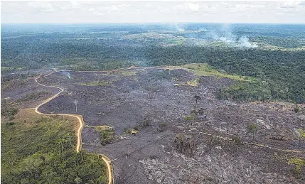  ?? DANIEL BELTRÁ/GREENPEACE ?? Lideranças na Europa relacionam as queimadas na região amazônica ao governo Bolsonaro e vetam acordo de livre comércio com o Mercosul