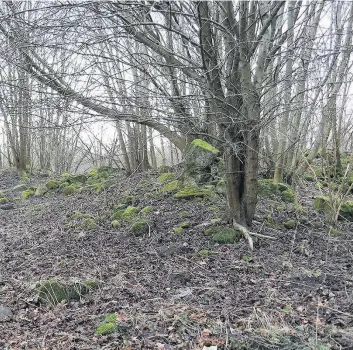  ??  ?? Ruins
A scatter of dressed stones is all that remains of Hallyards Castle