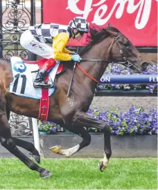  ?? ?? Perfect Thought wins at Flemington on October 29, 2022.