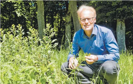  ?? ARCHIVFOTO: CDI ?? Oberbürger­meister Gerold Rechle ist stolz darauf, dass Laupheim mit der „Goldenen Wildbiene ausgezeich­net wird.