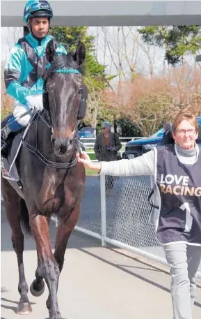  ?? ?? Grand Prospect pictured with jockey Ashvin Mudhoo and trainer Sue Walsh prior to his maiden win at Otaki.