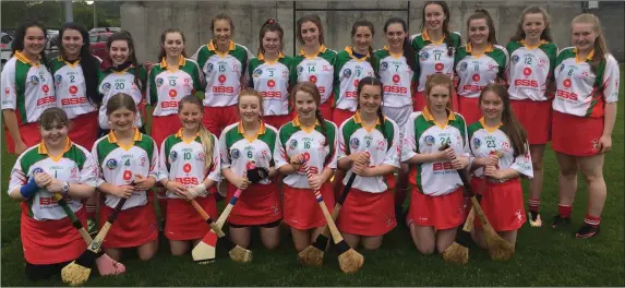  ??  ?? The Kiltegan under-16 camogie team who won the league title last week after completing a clean sweep of victories throughout the campaign.