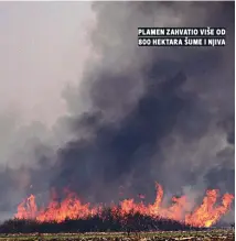  ??  ?? plamen zahvatio više od hektara šume i njiva