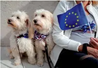  ?? AFP ?? Dog owners and their pets gather before participat­ing in a pro-EU, antiBrexit march, calling for a ‘People’s Vote on Brexit’ in ‘ London. —