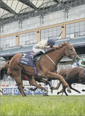  ?? PICTURE: GETTY IMAGES ?? WINNING RUN: Hollie Doyle on board Glen Shiel on Qipco Champions Day at Ascot.