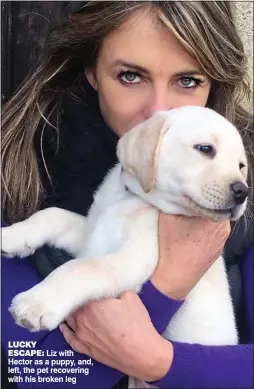  ??  ?? LUCKYESCAP­E: Liz with Hector as a puppy, and, left, the pet recovering with his broken leg