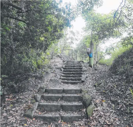  ?? Picture: GLENN HAMPSON ?? Burleigh Ridge Park, which neighbours the national park and headland, is a “perfect little getaway”.