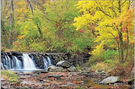  ??  ?? Photograph­ers may submit their best work picturing Edgmont Township for the Edgmont Environs & Details Beauty Art Gallery. Pictured is “Ridley Creek Falls” by Jack Zigon, a 20x30 inch photograph on aluminum. exhibit at