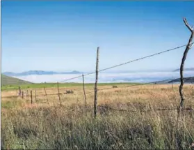  ??  ?? Prospectin­g prospects: With much of Mpumalanga’s land already being used for mining, activists are now fighting an applicatio­n to mine a tract of protected wetland near Wakkerstro­om. Photo: Lawrette McFarlane/GO!/ Gallo Images