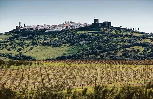  ??  ?? VINEYARD TOURS AND TASTINGS ARE AVAILABLE BY REQUEST AT SÃO LOURENÇO DO BARROCAL.