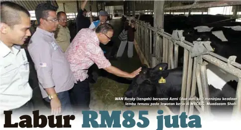  ??  ?? WAN Rosdy (tengah) bersama Azmi (dua dari kiri) meninjau keadaan
lembu tenusu pada lawatan kerja di MSCRIC, Muadazam Shah.