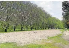  ?? FOTO: THOMAS SCHÄFER ?? Reichlich Sand für Sport ist am Saarstrand bereits vorhanden.