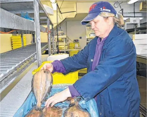  ??  ?? Tana MacDonald, production supervisor at Ka’Le Bat Seafoods, packs up Greg sole at the fish plant in Glace Bay in May 2014. The company’s owner, Louisbourg Seafoods Ltd, is encouraged the Cape Breton Regional Municipali­ty’s foreign trade zone designatio­n will increase the company’s capacity and result in spinoff jobs.