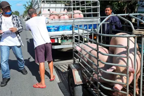  ?? OLIVER MARQUEZ/PHILIPPINE NEWS AGENCY ?? ECONOMIC activities in Peñaranda, Nueva Ecija continue amid restrictio­ns as traders deliver agricultur­al products to local markets in the municipali­ty.