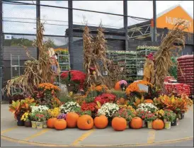  ?? TONIA DAVIS / Staff ?? Corn stalks, hay bales, pumpkins, gourds, and scarecrows are often used by homeowners for fall decoration.