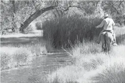  ?? ALEX DEVOID/THE REPUBLIC ?? Mike Hayhurst rides his horse within a riparian area along the Babocomari River on June 23, 2018.