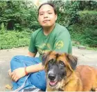  ??  ?? In a class of his own: Philippine Animal Welfare Society announced that Mikko, the longest-staying shelter dog — has been