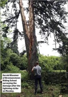  ??  ?? Gerald Bloomer of Brennansto­wn Riding School surveying the damage after the lightning strike on Monday.