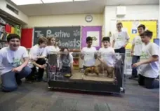  ?? CARLOS OSORIO/TORONTO STAR ?? A team of Grade 7/8 students from Glen Ames Public School have built a robot to automatica­lly feed the right portion of food to pets.