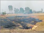  ?? HT PHOTO ?? Wheat stubble burning in a Sangrur village on Tuesday.