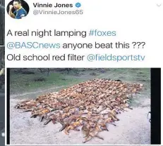  ??  ?? BARBARIC Tweet on Jones’s account bragged about killing foxes