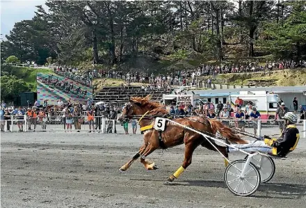  ?? PIPPA BROWN/STUFF ?? Geraldine Stanbury, secretary Race 7 Majestic Son South Bay Trotters Cup first place number 5 Bordeaux driven by Dexter Dunn.