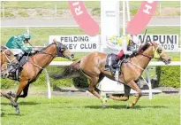  ?? Photo / Trish Dunell ?? Shadows Cast winning at his last start at Awapuni.