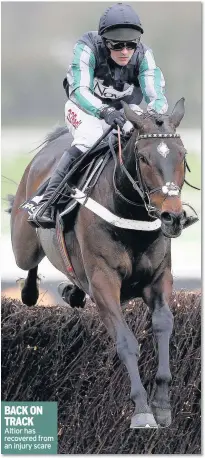  ??  ?? Altior has recovered from an injury scare