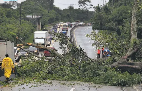  ??  ?? PERSONAL DE LA ALCALDÍA DE SANTA TECLA Y DE DELSUR TRABAJARON EN LA REMOCIÓN DE UN ÁRBOL QUE CEDIÓ A LA ALTURA DEL KILÓMETRO 5 DE LA CARRETERA QUE CONDUCE AL PUERTO DE LA LIBERTAD.