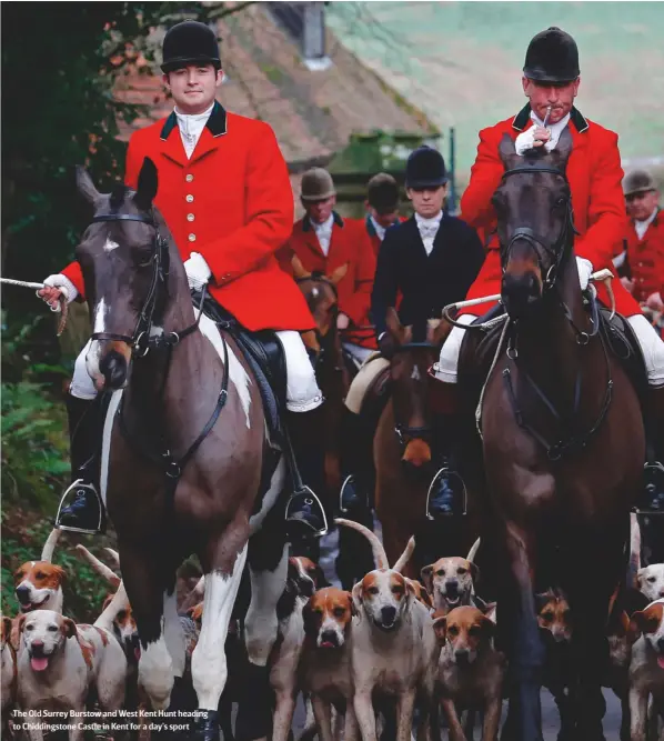  ??  ?? The Old Surrey Burstow and West Kent Hunt heading to Chiddingst­one Castle in Kent for a day’s sport