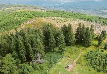  ??  ?? Oživení Rozhlednu na Poledníku obklopují jak plochy s uschlými a popadanými stromy v důsledku orkánu a kůrovce, stejně tak ale i se souvislými plochami stromů zelených.