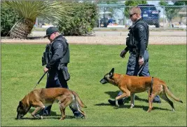  ?? Buy these photos at YumaSun.com PHOTOS BY RANDY HOEFT/YUMA SUN ?? TOP: YUMA POLICE DEPARTMENT OFFICER Zach Miner interacts with his K-9, Barry, who is being retired after several years on the force. ABOVE: Officer Matthew Woen (left) walks with his K-9, Mitch, while Miner (right) walks with Barry. Mitch is also being retired after several years on the force. LEFT: Woen walks with Mitch.