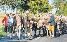  ?? FOTO: PRIVAT ?? Eine Szene vom letzten Almabtrieb: Die Männer in Tracht, die Rinder ordentlich im Zaum gehalten.