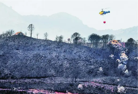  ??  ?? Un helicópter­o trabaja en las zonas quemadas por el incendio de Sierra Bermeja (Málaga)