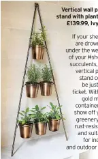  ??  ?? Vertical wall plant stand with planters,
£139.99, Ivyline
If your shelves
are drowning under the weight of your #shelfie succulents, this vertical plant stand could
be just the ticket. With six
gold metal containers to show off your
greenery, it’s rust-resistant and suitable
for indoor and outdoor use.