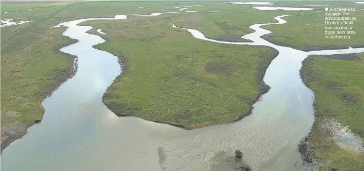  ??  ?? A scheme to manage the environmen­t at Hesketh Bank has created a huge new area of saltmarsh