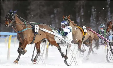  ??  ?? RIGHT: Harness racing on the snow is done with sleds instead of wheeled carts.