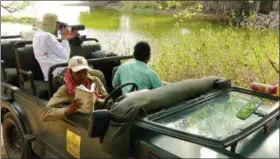  ?? DEAN FOSDICK VIA AP ?? A photograph­er is shown focusing on a tiger laying by the water on a hot day in Ranthambor­e National Park in northern India. Operators of these photo safaris typically use open-top vehicles containing a driver, naturalist and no more than two...