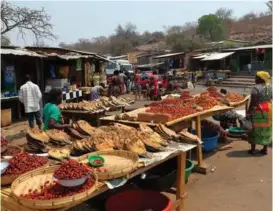  ?? Inflação ?? Malawi passa a ser o terceiro país africano com maior taxa de