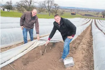  ?? SZ-FOTO: KIRCHEIS ?? Auf den Feldern von Armin (l.) und Timo Schick beginnt die Spargelern­te bereits in dieser Woche.