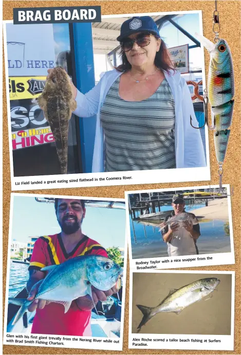  ??  ?? Liz Field landed a great eating sized flathead Glen with his first giant trevally from the Nerang River while out with Brad Smith Fishing Charters. in the Coomera River. Rodney Taylor with a nice snapper from the Broadwater. Alex Roche scored a tailor beach fishing at Surfers Paradise. BRAG BOARD